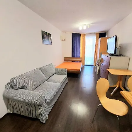 And In Sunny Dream Family Complex In Apartment